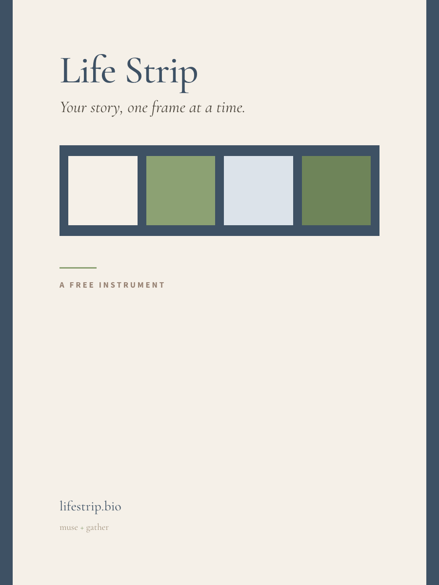 Life Strip